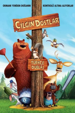 Çılgın Dostlar (2006)