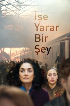 İşe Yarar Bir Şey (2017)