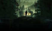 Stranger in the Woods (2024)