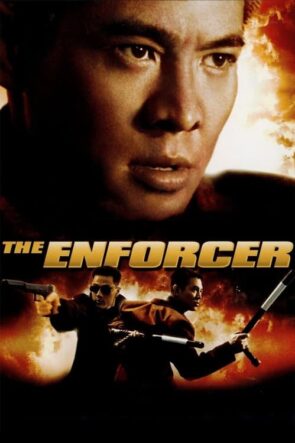 The Enforcer (1995)