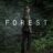 The Forest : 1.Sezon 4.Bölüm izle