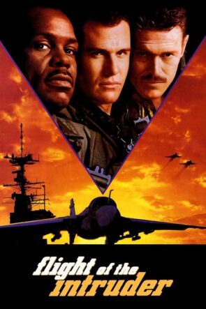 Flight of the Intruder (1991)