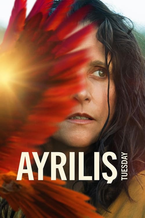 Ayrılış (2024)