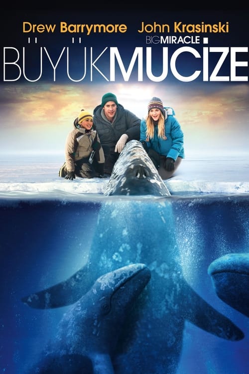 Büyük Mucize (2012)