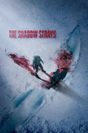 The Shadow Strays (2024)